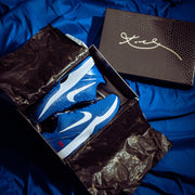 Nike Kobe 6 Protro Dodgers