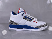 Nike Air Jordan 3 White Blue Elephant Print Sneakers