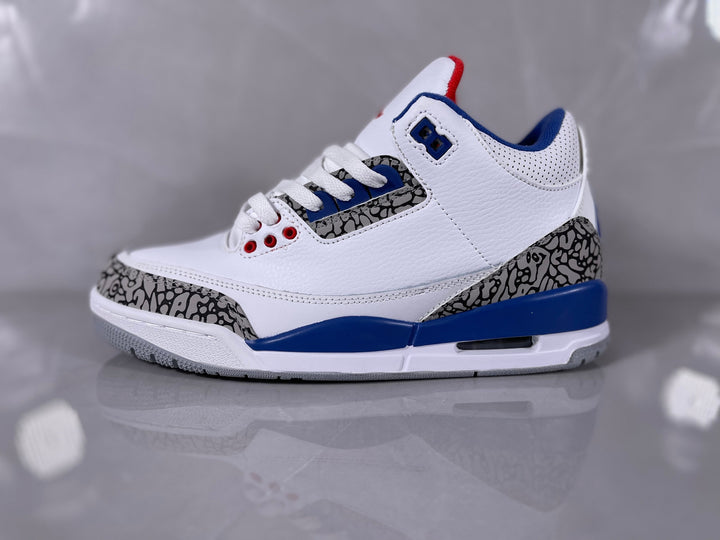 Nike Air Jordan 3 White Blue Elephant Print Sneakers