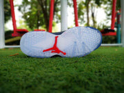 Jordan Air Jordan 6 Charity Sneakers in Navy, Red and White