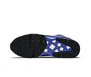 Nike Air Max Black and Blue Low-Top Sneakers