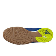 Predator Sala Shoes